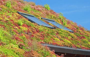 Middletown living roof systems